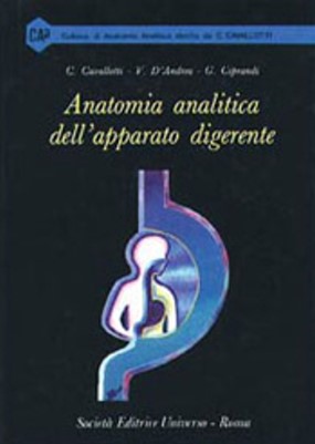 Anatomia analitica dell'apparato digerente